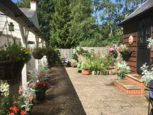 Image 14